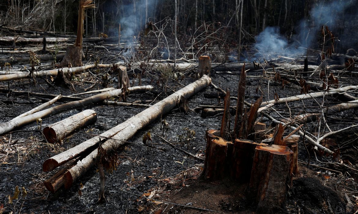 Um trecho da selva amazônica queima enquanto é desmatado por madeireiros e fazendeiros em Novo Airão, Amazonas, Brasil, 21 de agosto de 2019