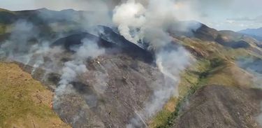 Queimada atinge mata no Rio de Janeiro