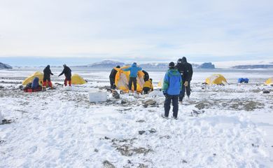 Pesquisadores anunciam descoberta de incêndios na Antártica há 75 milhões de anos