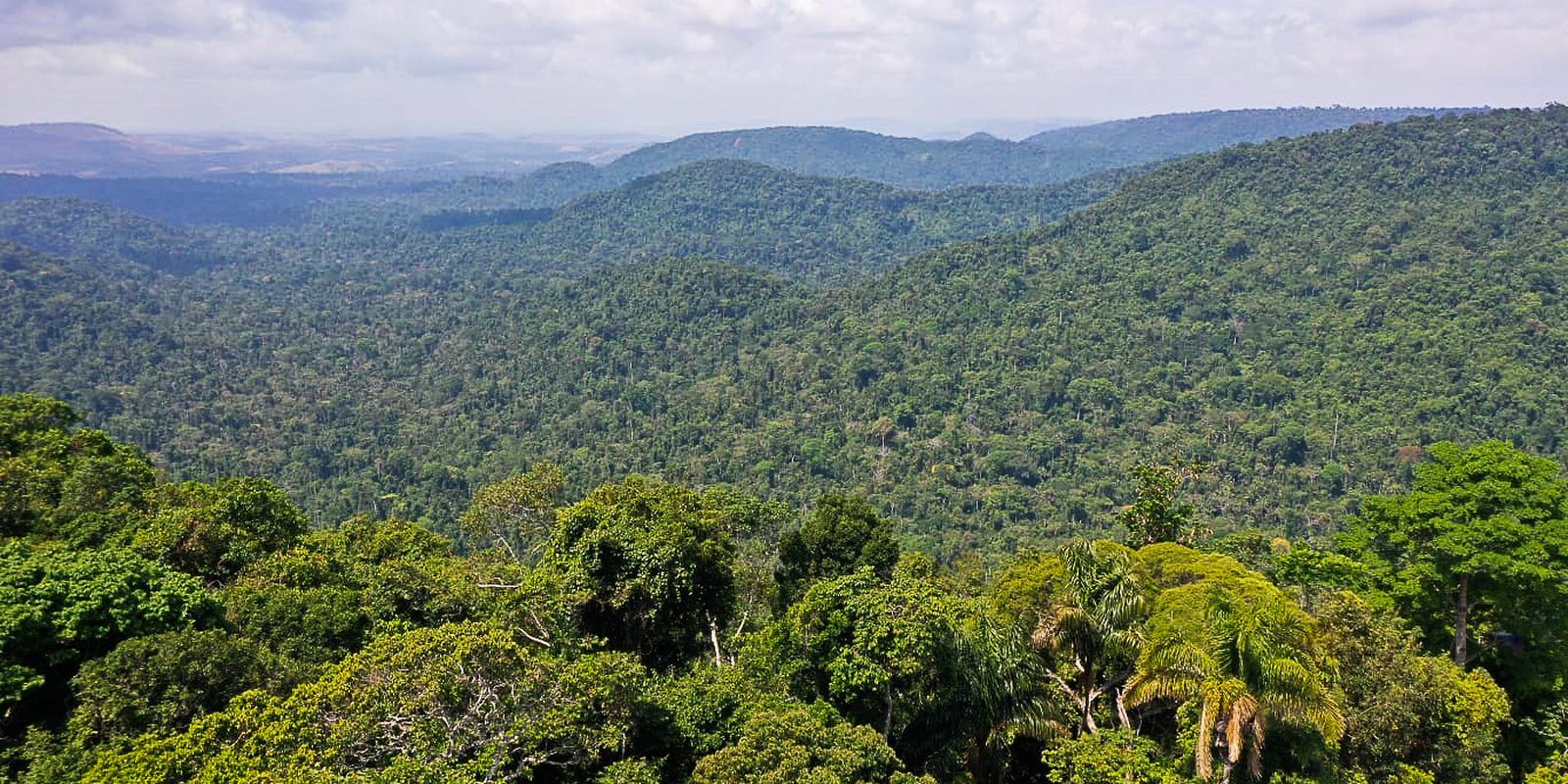 Agência Brasil explica: o que é o Fundo Amazônia?