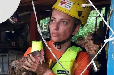 CHUVAS NO RS - Médica veterinária Carla Sássi trabalha como voluntária nas operações de resgaste de animais no Rio Grande do Sul - Resgate de animais ilhados no Rio Grande do Sul. Foto: Carla Sassi/facebook