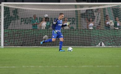 O goleiro Fernando Prass, da SE Palmeiras, em jogo contra a equipe do Fluminense FC, durante partida válida pela décima nona rodada, do Campeonato Brasileiro, Série A, na arena Allianz Parque.