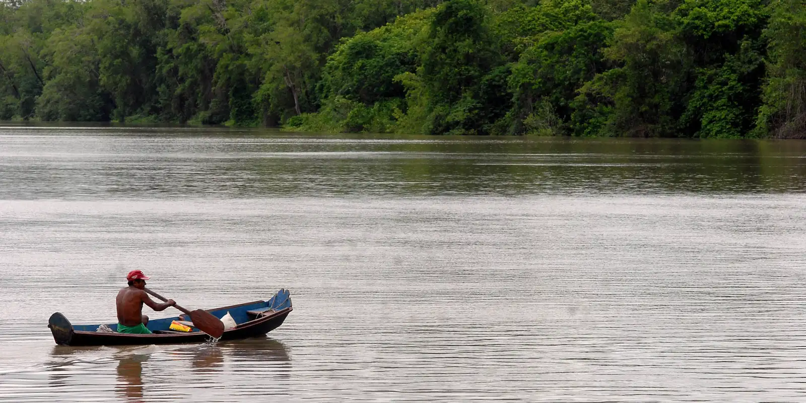 Amazônia Legal terá recursos para projetos de bioeconomia