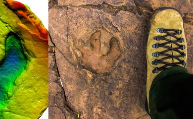 Modelo digital e foto de uma pegada fóssil de um pequeno dinossauro herbívoro.