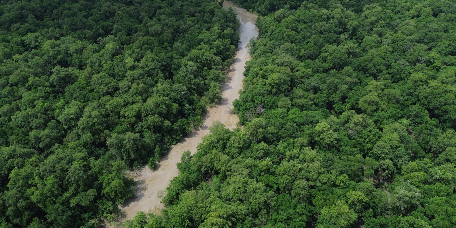 Tratado de Cooperação Amazônica e Declaração de Bogotá reforçam compromissos da COP30 no Brasil