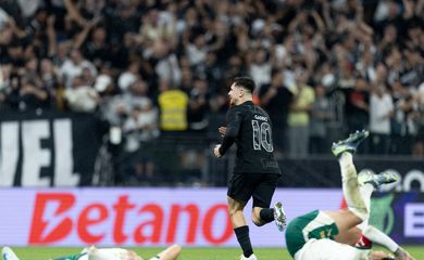 palmeiras, corinthians, brasileiro