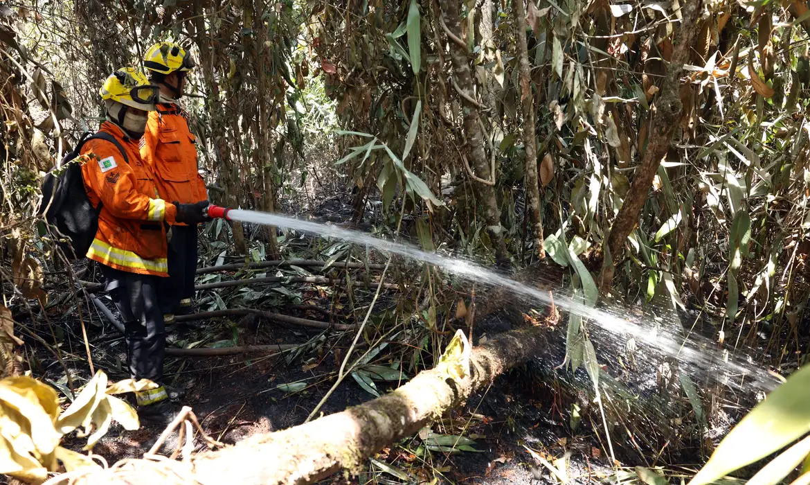 Brasília (DF), 18/09.2024 - Soldado do Corpo de Bombeiros do Distrito Federal durante ações de combate a incêndios no Parque Nacional. Foto: Antônio Cruz/Agência Brasil