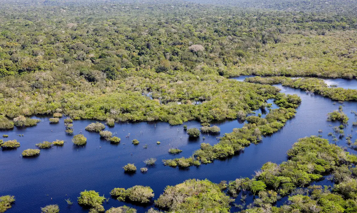 Manaus, AM 06/07/2024 Cenas da Amazônia. Floresta margeada pelo Rio Negro  Foto: Fabio Rodrigues-Pozzebom