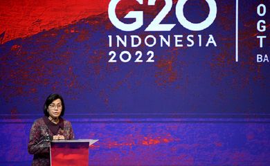 G20 finance ministers, central bankers and senior officials meet in Bali