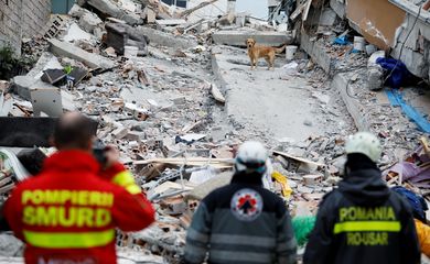 A rescue dog searches for survivors in a collapsed building in Durres, after an earthquake shook Albania, November 28, 2019. REUTERS/Florion Goga