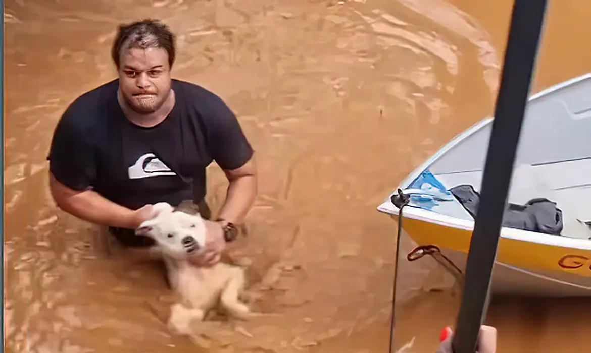 Mais de 11 mil animais afetados pelas enchentes no RS foram resgatados |  Agência Brasil