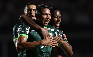 palmeiras, santos, paulista