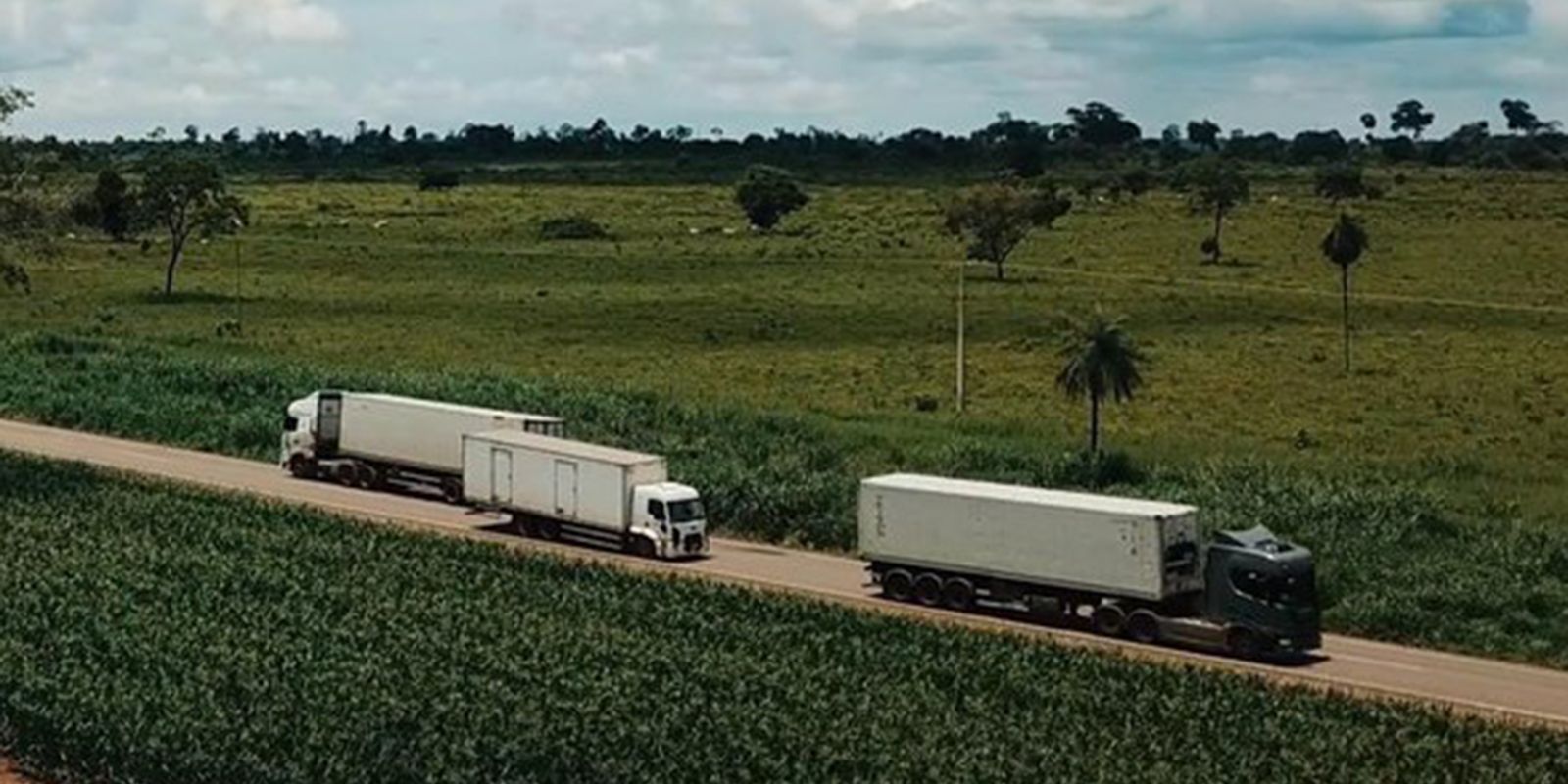 Leilão de concessão da Rota Agro tem deságio de 19,7% no pedágio Leilão de concessão da Rota Agro tem deságio de 19,7% no pedágio