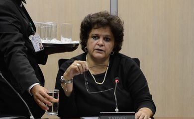 Entrevista coletiva da ministra do Meio Ambiente, Izabela Teixeira, após reuniaõ com secretários de MG, RJ, e SP (Valter Campanato/Agência Brasil)