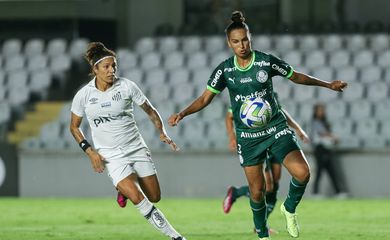 palmeiras, santos, brasileiro feminino, futebol