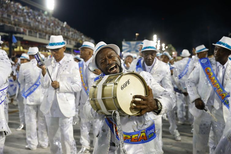 Rio de Janeiro - A escola de samba Beija-Flor se apresenta no Desfile das Campeãs do Carnaval do Rio, na Sapucaí  (Tânia Rêgo/Agência Brasil)
