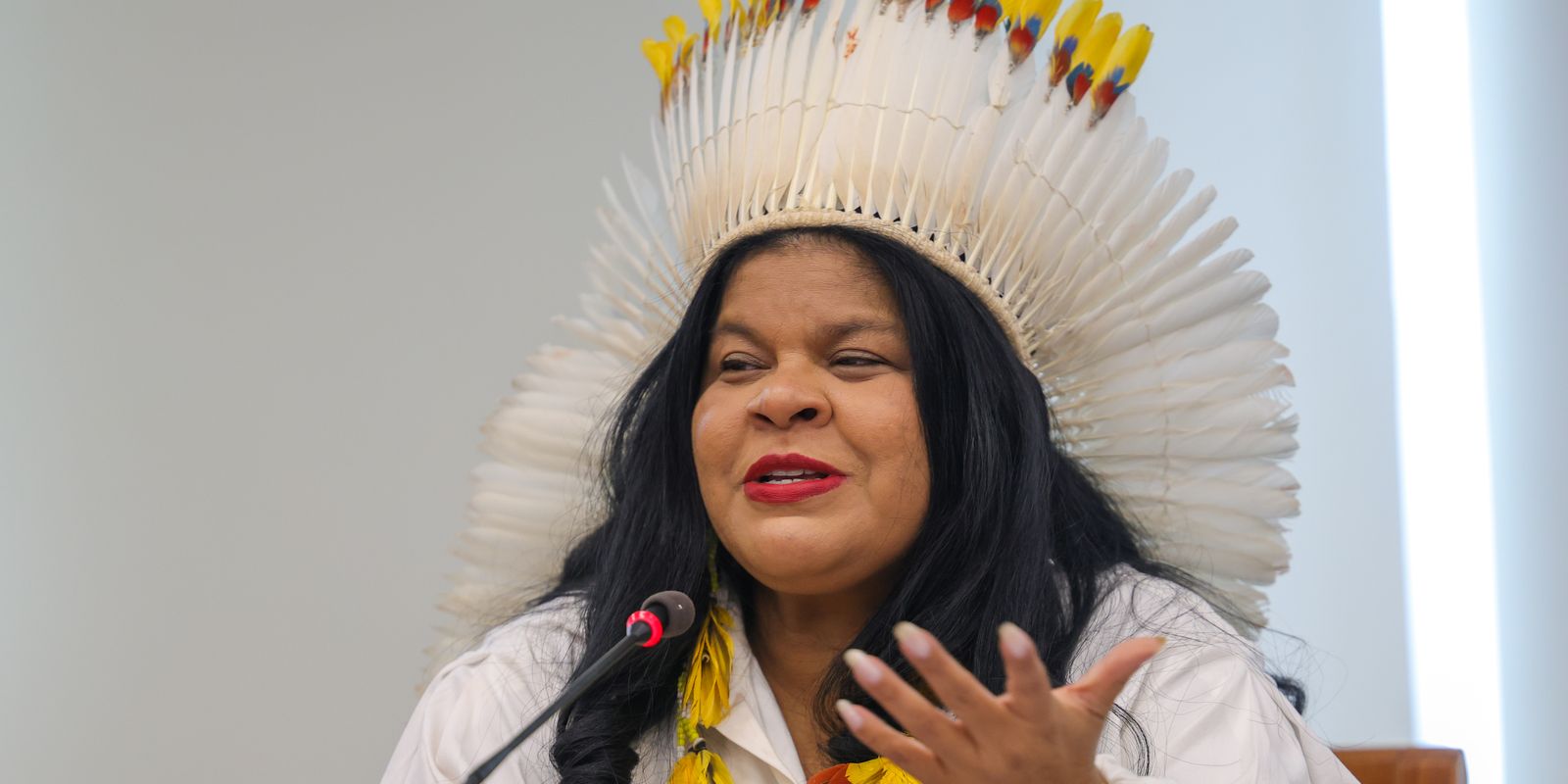 Ministra destaca trabalho inédito na proteção dos povos indígenas