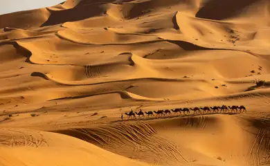 A camel caravan moves along the dunes at the Erg Chebbi sand dunes in the Sahara - Saara desert outside Merzouga, Morocco December 5, 2024. REUTERS/Darrin Zammit Lupi