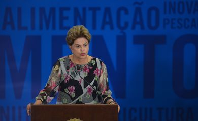 A presidenta Dilma Rousseff participa da cerimônia de entrega do 28º Prêmio Jovem Cientista, no Palácio do Planalto (José Cruz/Agência Brasil)