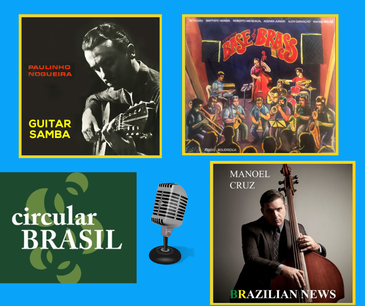 Capas Circular Brasil 231