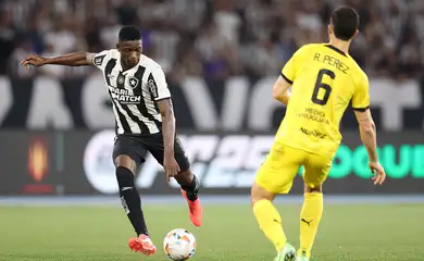 botafogo, peñarol, libertadores