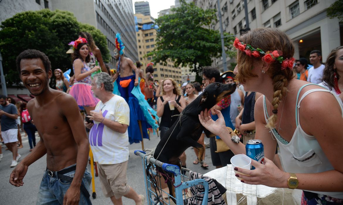 A intenção do projeto é reunir no Rio a variação dos blocos carnavalescos do Brasil