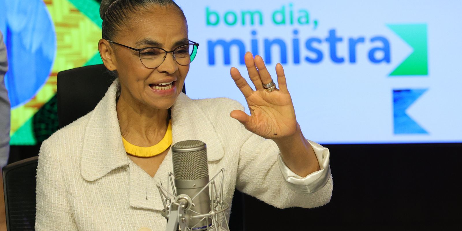 Marina Silva defende marco regulatório para emergências climáticas Marina Silva defende marco regulatório para emergências climáticas