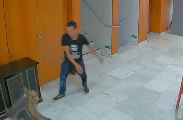 Frame de vídeo de câmera de segurança mostrando vândalo em ação no Palácio do Planalto