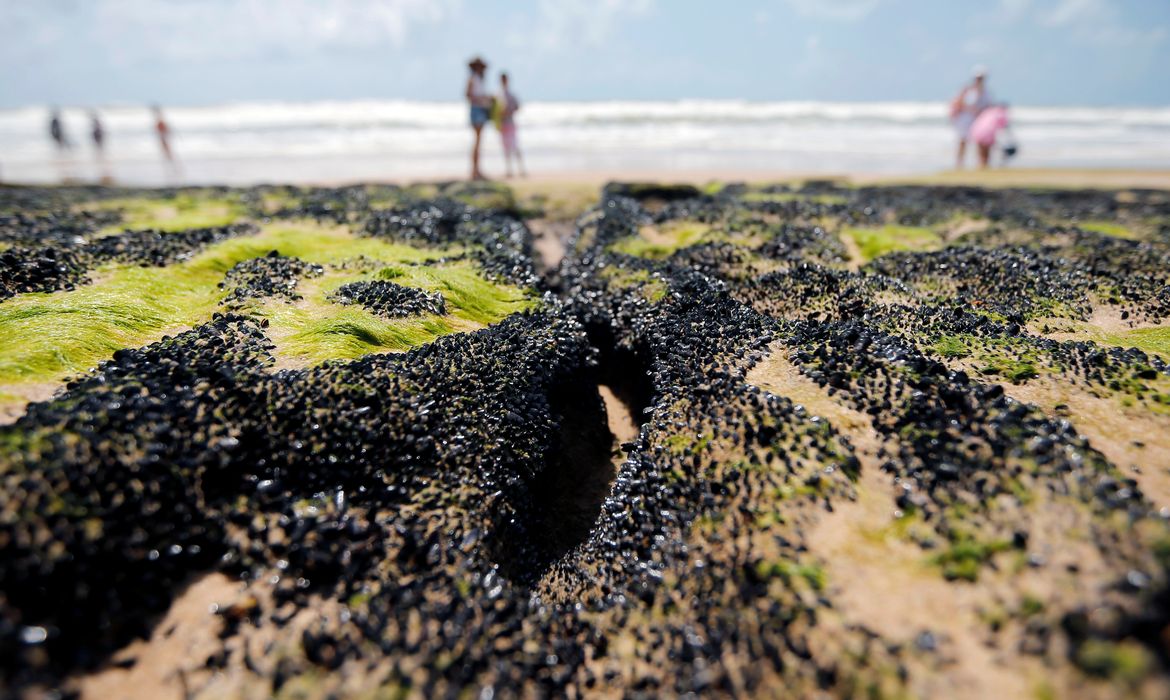 Um derramamento de óleo é visto na praia 'Sitio do Conde' em Conde, Bahia, Brasil, 12 de outubro de 2019. REUTERS / Adriano Machado