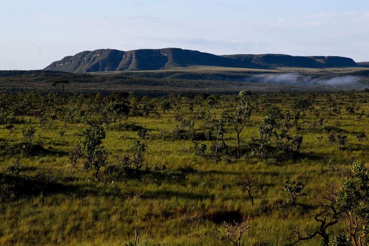 Chapada dos Veadeiros