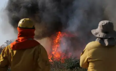 Bombeiros observam incêndio no departamento de Santa Cruz, na Bolívia
24/07/2024
Reuters/Jorge Parada/Proibida reprodução
