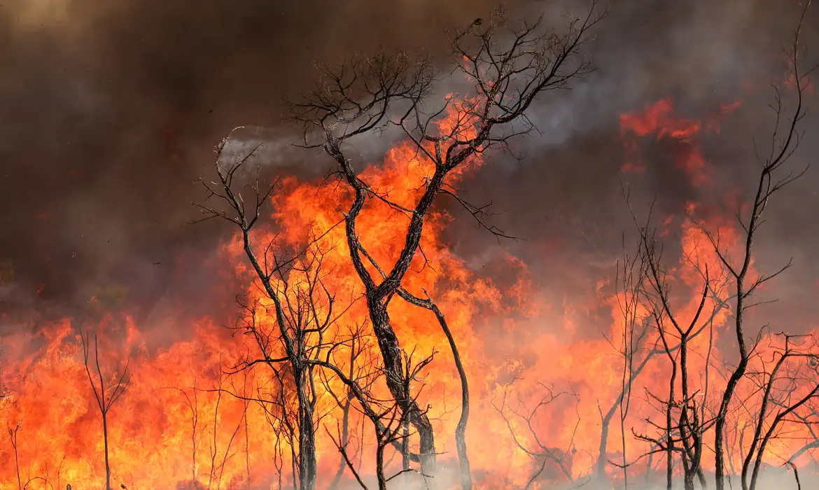 Brasília, DF 15-09-2024 Um Incendio atingiu o Parque Nacional de Brasília. Bombeiros e populares tentavam conter as chamas Foto: Fabio Rodrigues-Pozzebom