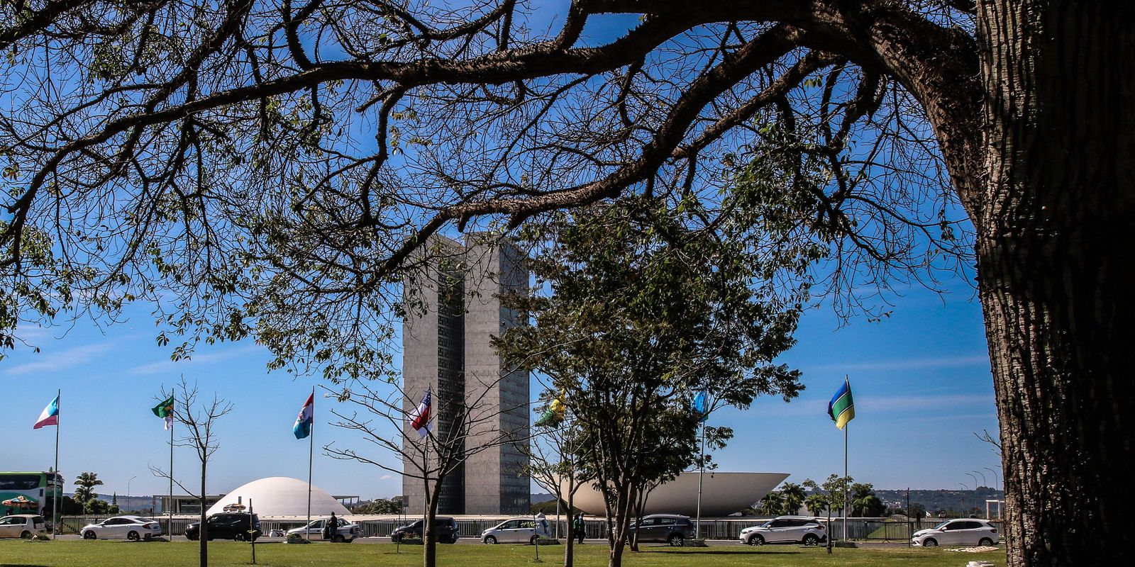 Senado começa a analisar novo arcabouço fiscal esta semana 3 Senado começa a analisar novo arcabouço fiscal esta semana