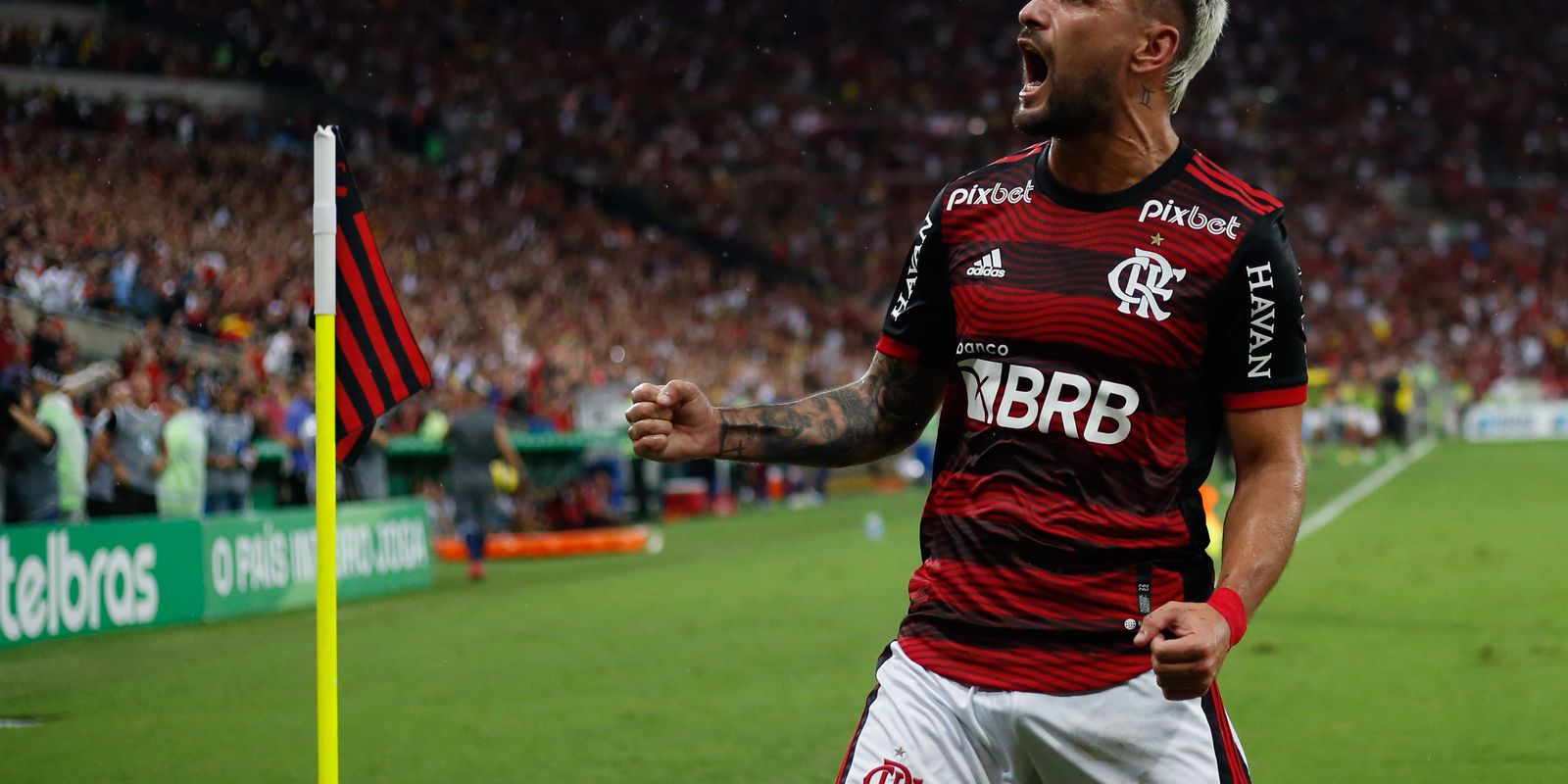 File:Jogo do Flamengo pela semifinal da Copa do Brasil de 2022.jpg -  Wikimedia Commons