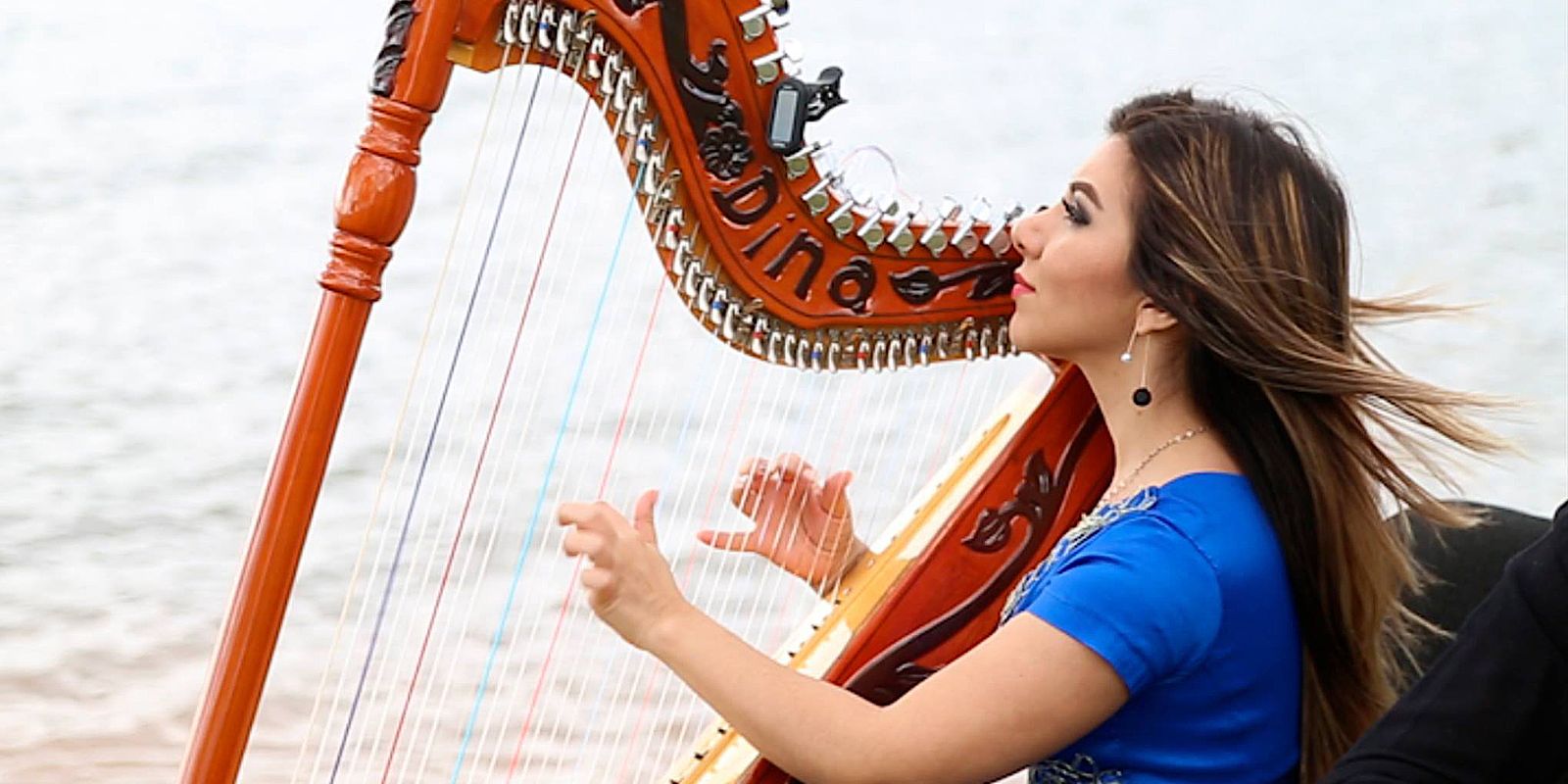 Rio de Janeiro será capital mundial da harpa em julho