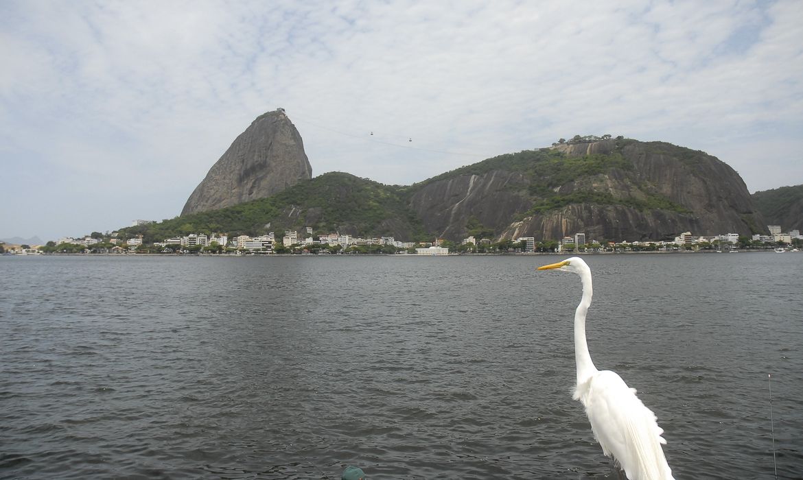 Em meio a críticas sobre a qualidade da água, Baía de Guanabara sediará o primeiro evento-teste para as Olimpíadas de 2016(Arquivo Agência Brasil)