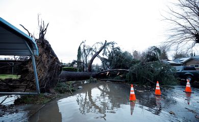 FILE PHOTO: A tree blocks a roadway after it fell in high winds during a winter storm in West Sacramento