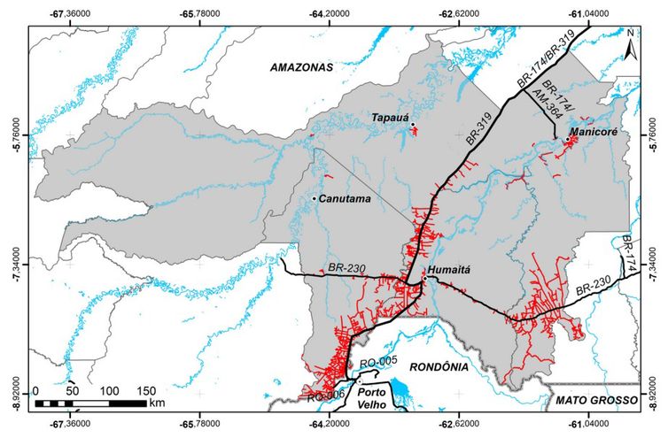 Mapa mostra ramais na floresta que acompanham a BR-319 nos municípios de Canutama, Humaitá, Manicoré e Tapauá, no sul do Amazonas. Foto Arte/Nota técnica OBR-319