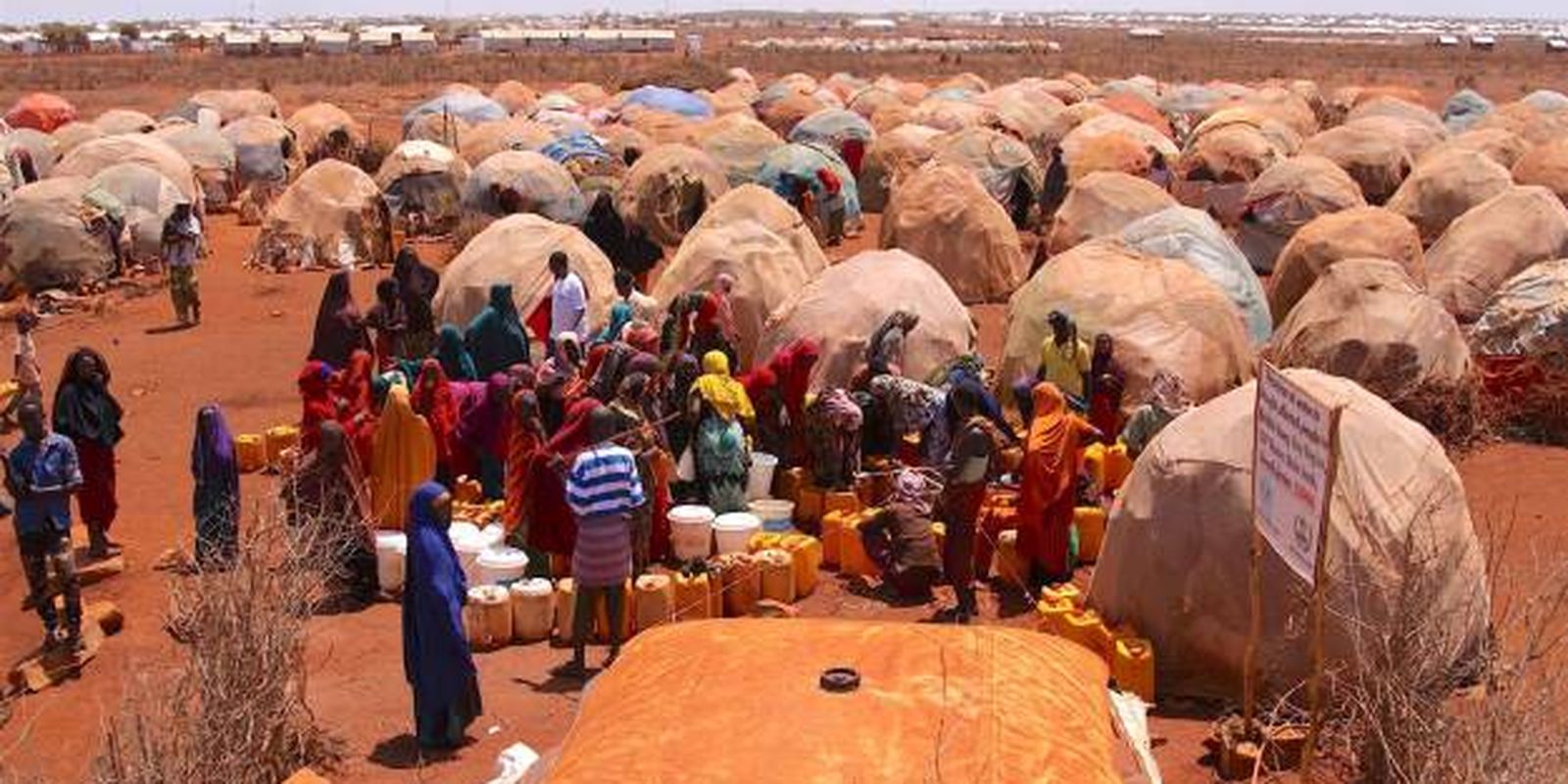 A MISTERIOSA SOMALI E O PROTETOR DA FLORESTA!