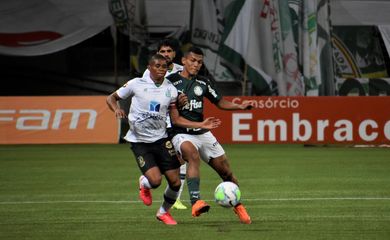 palmeiras, américa-mg, copa do brasil