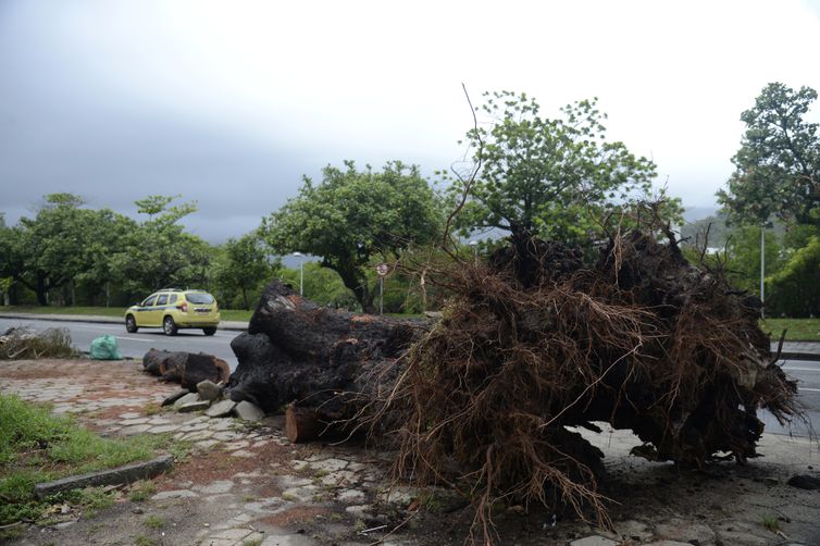 A chuva que atingiu o Rio de Janeiro na noite de ontem (12) e na madrugada de hoje (13) deixou pontos da cidade com bolsões d'água, árvores e postes derrubados. 