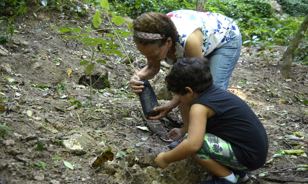 Floresta do Parque Nacional da Tijuca ganha mais 260 mudas de espécies nativas da Mata Atlântica. A ação foi promovida pelos voluntários do Instituto Conhecer para Conservar, do Grupo Cataratas, e de Paineiras Corcovado, no Parque Lage. 