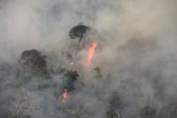 Incêndio atinge parte da Floresta Amazônica na Terra Indígena Arariboia, no município de Amarante, no sudoeste do Maranhão