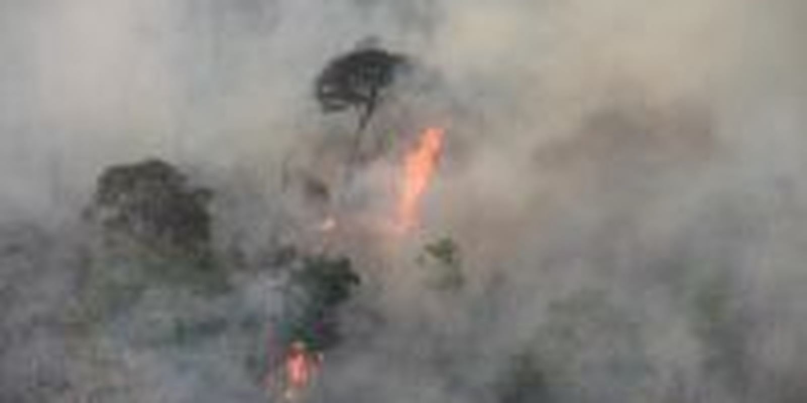 Incêndios colocam em risco seis terras indígenas no Maranhão Incêndios colocam em risco seis terras indígenas no Maranhão