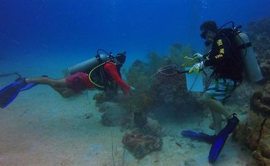 San Andrés – O diretor da Corales de Paz, Phanor Montoya Maya, com roupa de mergulho vermelha, e o fundador do Movimento Ambientalista Colombiano, Camilo Prieto, coletam material em uma creche de corais, na Ilha de San Andrés, na Colômbia
