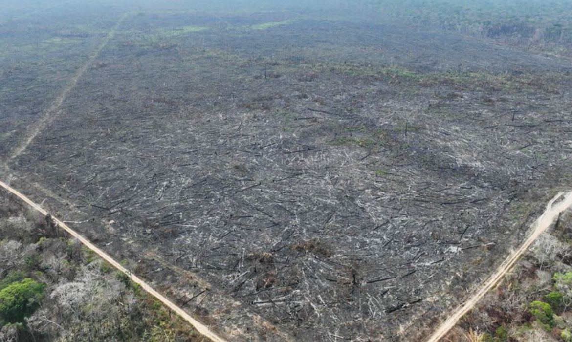 Rio Branco-Acre 01/10/2024 Polícia Federal no Acre, deflagrou operação para combater os crimes de desmatamento, impedimento de regeneração e provocação de incêndio em uma área de aproximadamente 950 hectares, situada em gleba pública federal. Fotos Polícia Federal