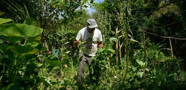 Agricultura Familiar 