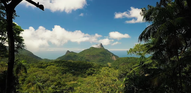 Nossos Biomas viaja pela história da floresta mais antiga da América do Sul, a Mata Atlântica