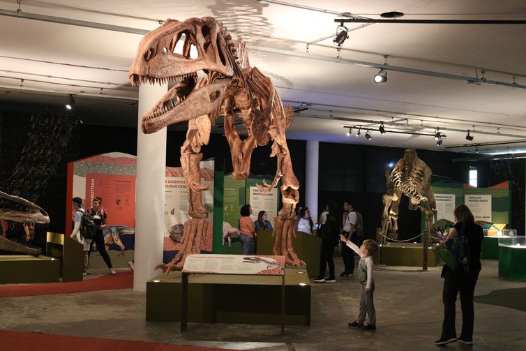 Rovena Rosa/Agência Brasil Exposição Dinossauros: Patagotitan, o Maior do Mundo, com curadoria científica do paleontólogo Luiz Eduardo Anelli, no Pavilhão das Culturas Brasileiras do Parque Ibirapuera.