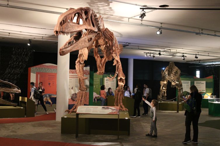 Exposição apresenta 16 réplicas de esqueletos de dinossauros completos e 20 fósseis originais - Rovena Rosa/Agência Brasil